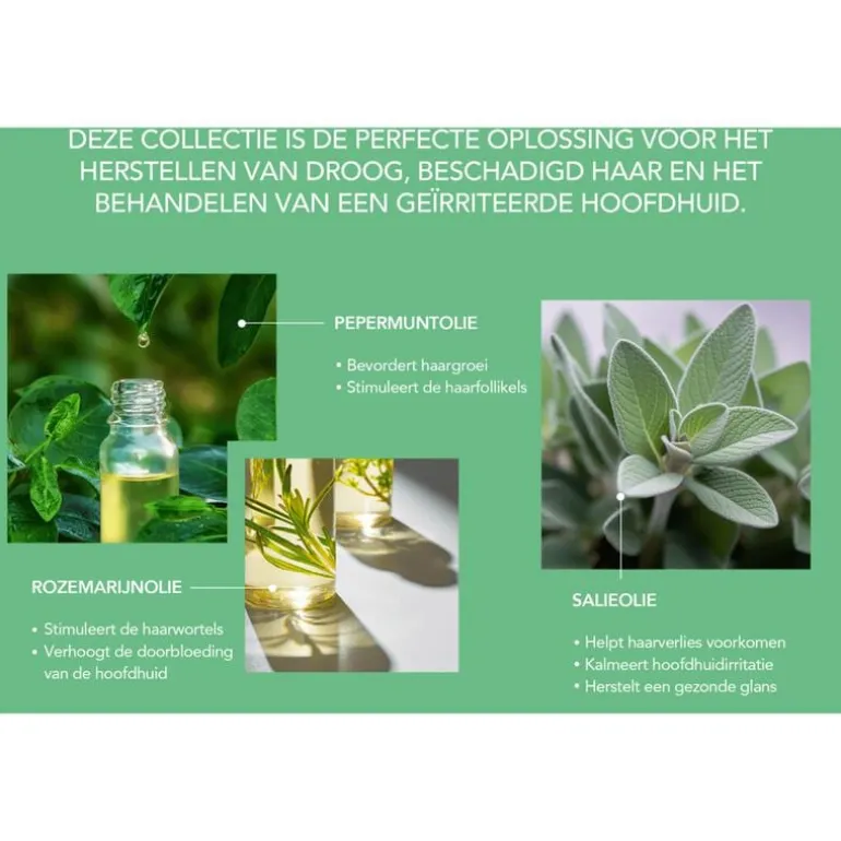 African Pride Peppermint, Rosemary en Sage Versterkend Masker