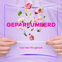 Always Daily Fresh Normal Fresh Scent