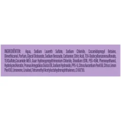 Andrélon Zilver Care Shampoo 250 ML