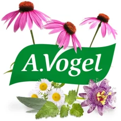 A.Vogel Echinaforce Bij Onvoldoende Weerstand En Griep Druppels 100 ML