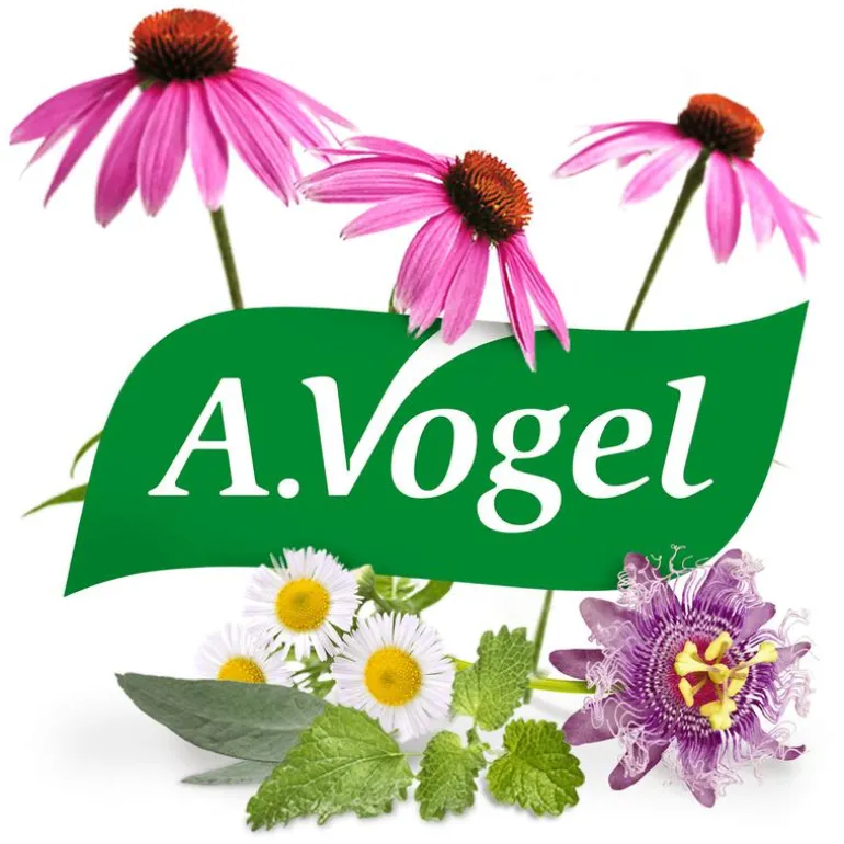 A.Vogel Echinaforce Bij Onvoldoende Weerstand En Griep Druppels 50 ML