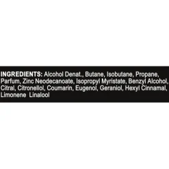 AXE Epic Fresh Deodorant Bodyspray 150 ML