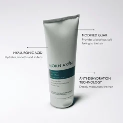 Bjorn Axen Moisture Hair Mask 200 ML