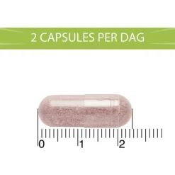 BlaseBerry 50 capsules