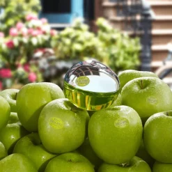 DKNY Be Delicious eau de parfum 100 ML