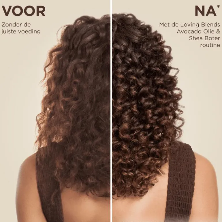 Garnier Loving Blends Avocado Olie & Karité boter Conditioner 250 ML