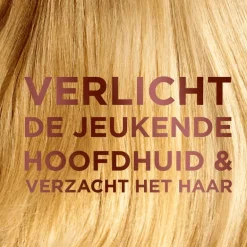Garnier Loving Blends Shampoo Milde Haver 300 ML