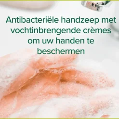 Palmolive Hygiëne Plus Family Antibacteriële Vloeibare Handzeep 300 ML