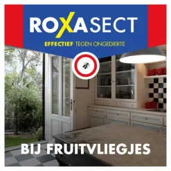 Roxasect Fruitvliegjes Vanger 1 stuk