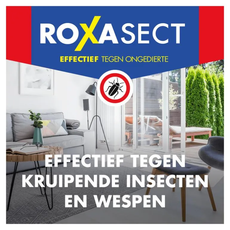 Roxasect Spuitbus Kruipende Insecten en Wespen 400 ML