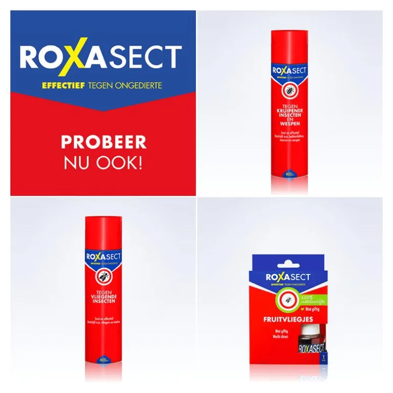 Roxasect Vliegenvanger 4 stuks