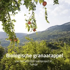 Weleda Granaatappel 24H Deodorant Roller 50 ML