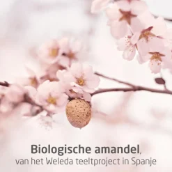Weleda Mama Perineum Massage Olie